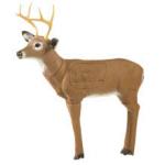 BACKYARD BUCK LEGEND